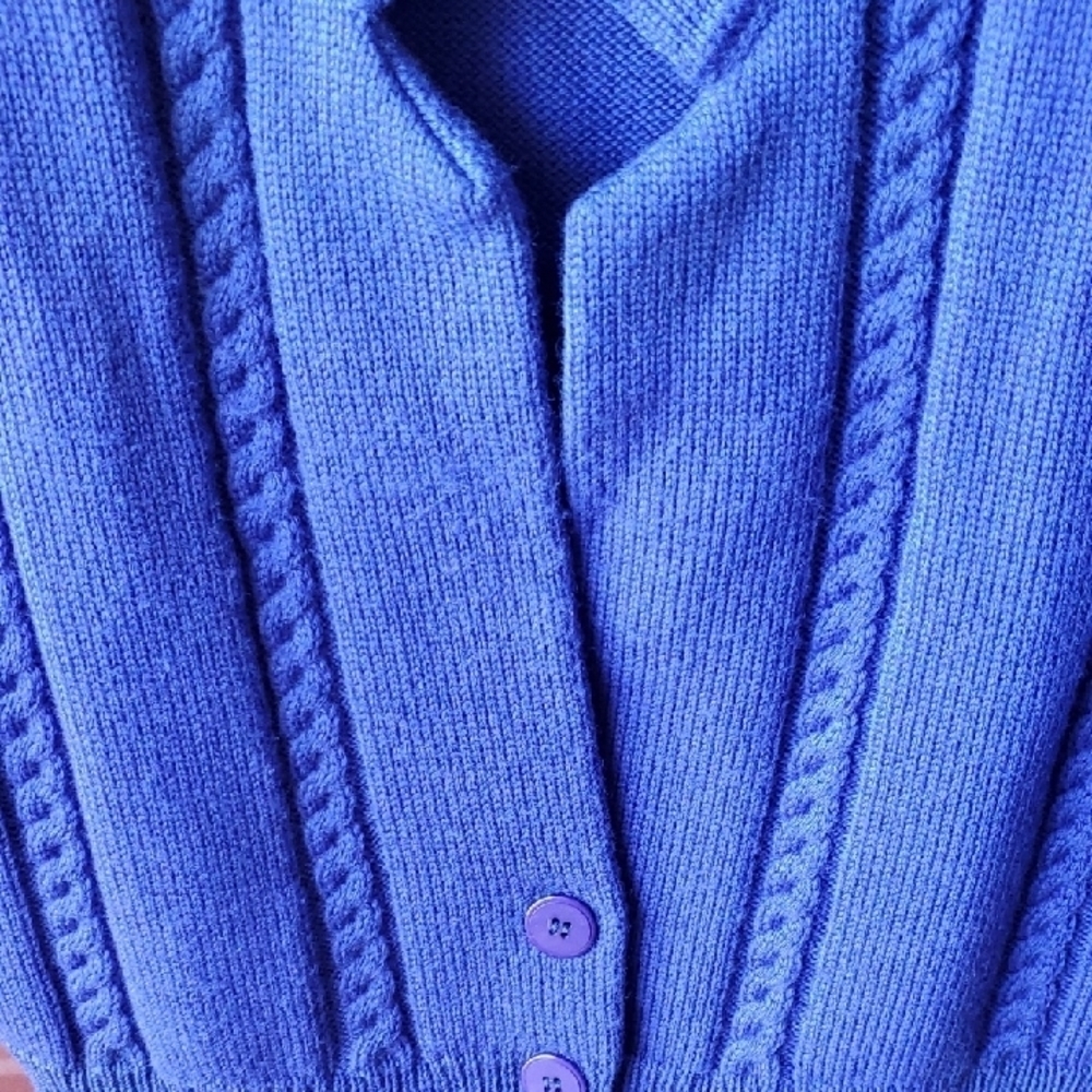 Pendleton Blue Cable Knit Vest - image 8